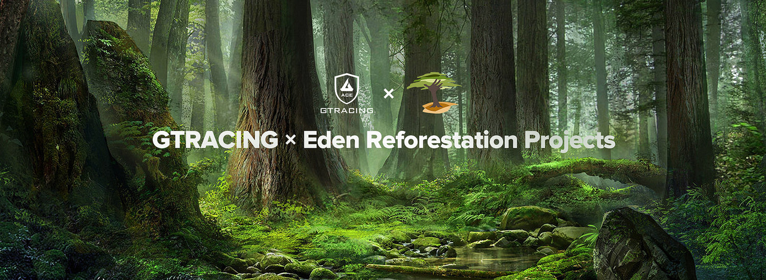 GTRACING X Eden Reforestation Projects