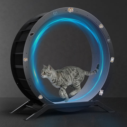 Cat Exercise Wheel Silent & Anti-Tip for Indoor Cats | GTPLAYER