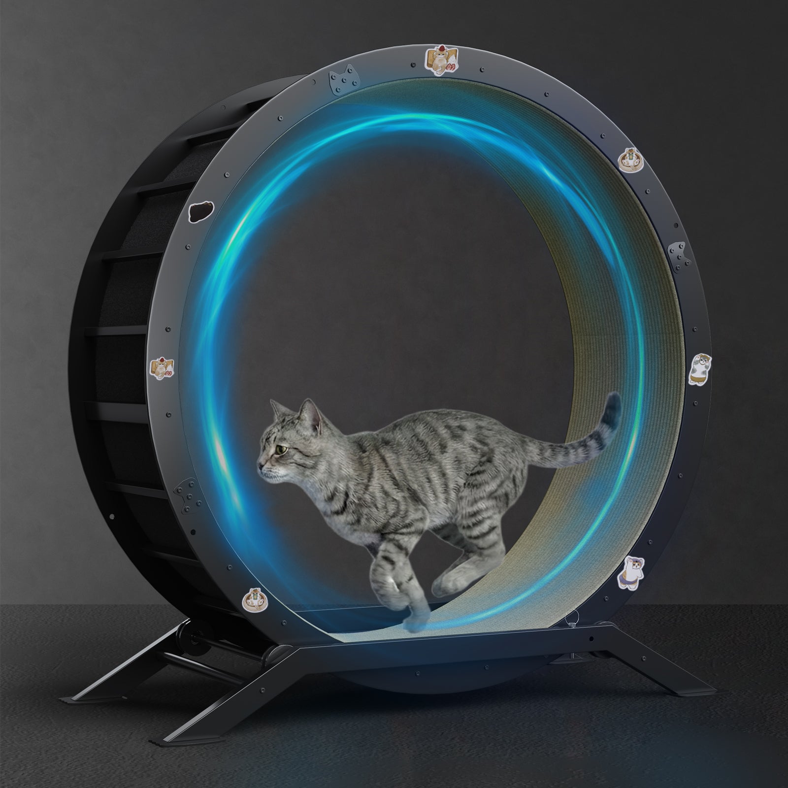 Cat Exercise Wheel Silent & Anti-Tip for Indoor Cats | GTPLAYER