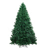 ###Tree
