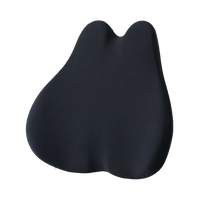 Memory Foam Lumbar Support Pillow - GTRacing Gaming Chair