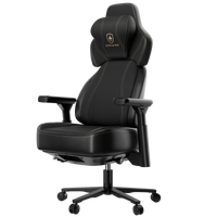 Dynamic Ergonomic Gaming Chair Pantheon
