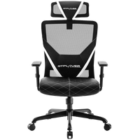 Ergonomic Series Luft 100 - GTRACING